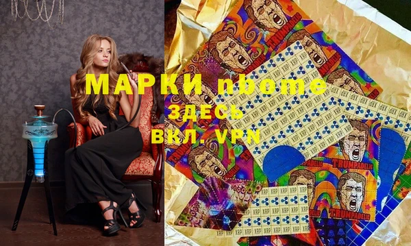 тгк Инта