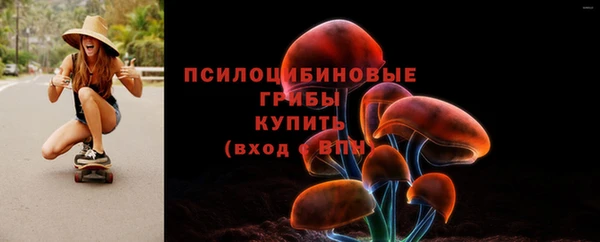 тгк Инта