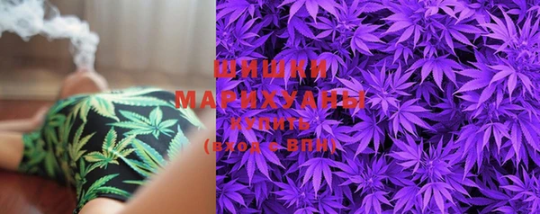 тгк Инта
